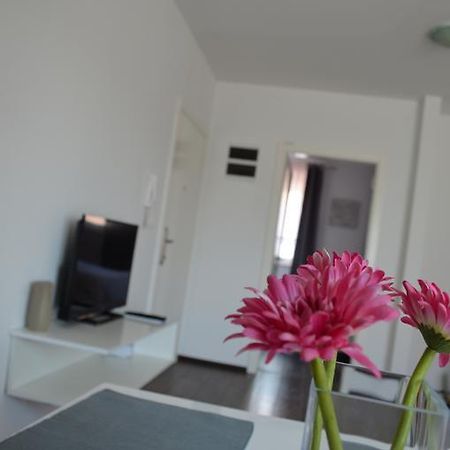 Apartment Meli Сесвете Екстер'єр фото